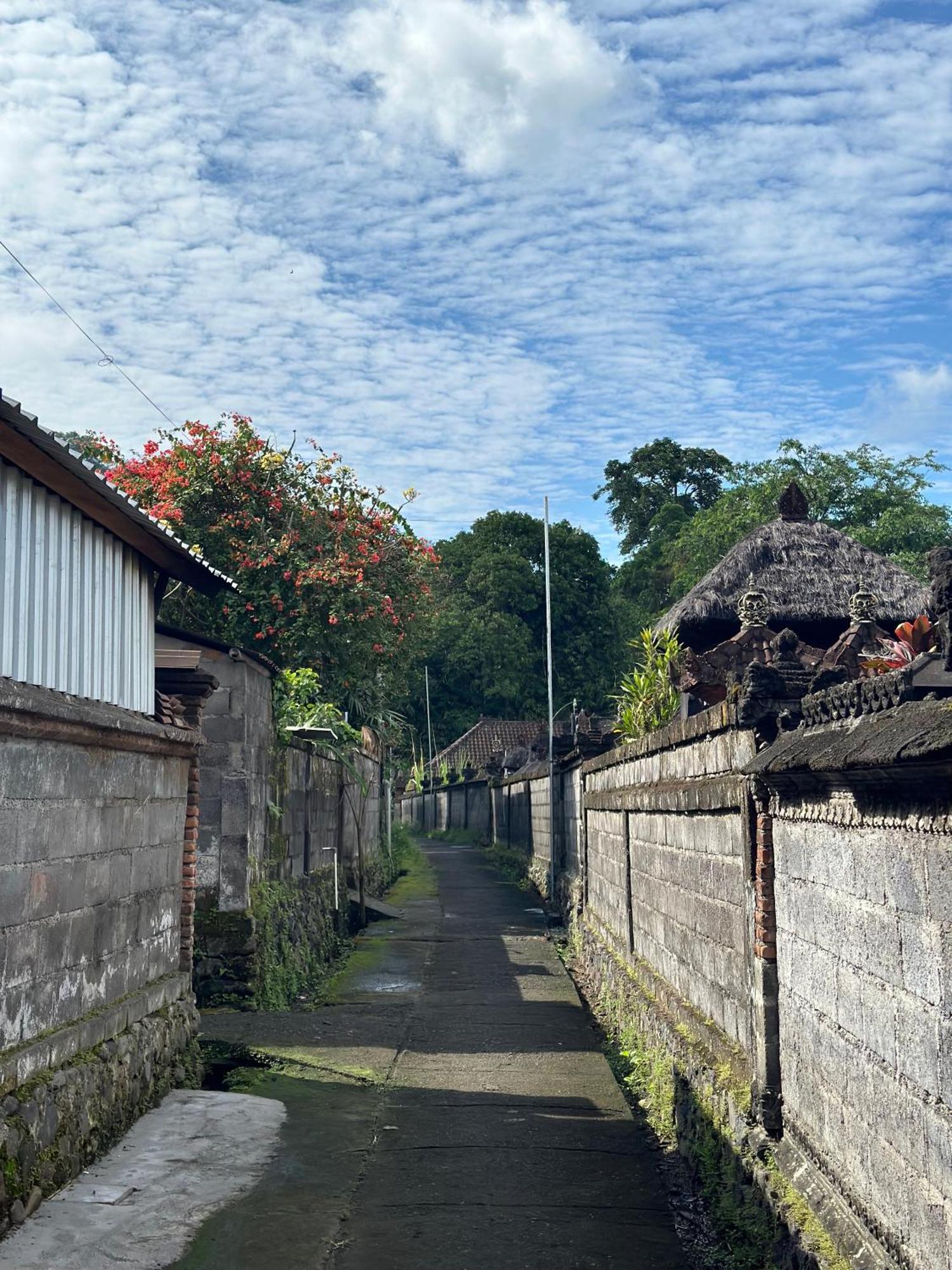 Made Putu Homestay Sidemen  Exterior foto